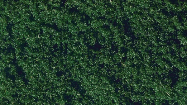 07206 Имитация листвы (флок) темно-зеленый Flock Dark Green 20 g