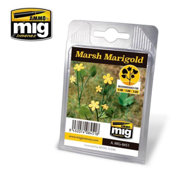 AMIG8451 MARSH MARIGOLD AMIG8451 MARSH MARIGOLD