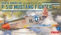 LS-006 1/48  NORTH AMERICAN P-51D MUSTANG FIGHTER