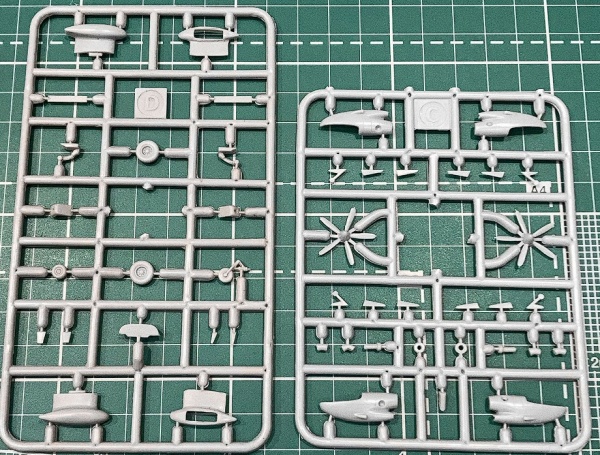 EE144105_1 Short-360 Pacific Coastal