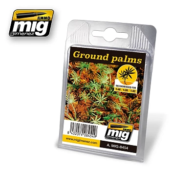 AMIG8454 GROUND PALMS AMIG8454 GROUND PALMS