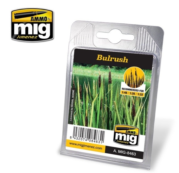 AMIG8463 Bulrush AMIG8463 Bulrush