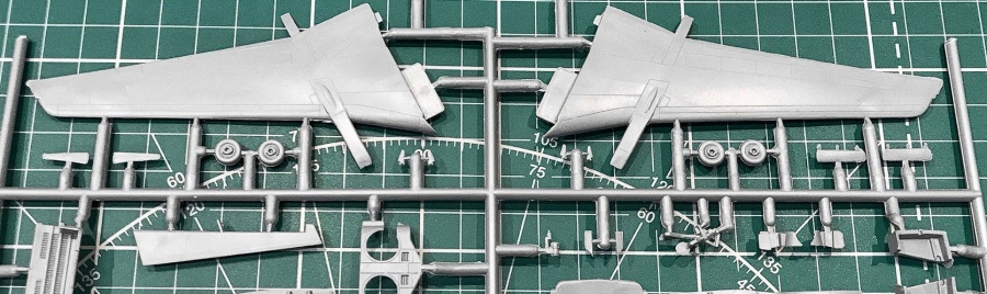 EE144130_2 Авиалайнер 737-400  Alaska   Рыба