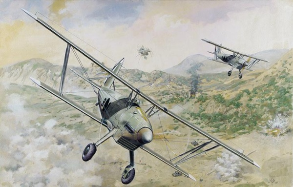 ROD427 Самолёт Arado Ar68E