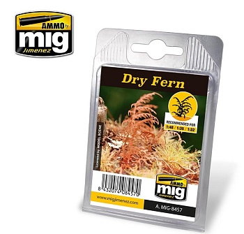 AMIG8457 DRY FERN AMIG8457 DRY FERN
