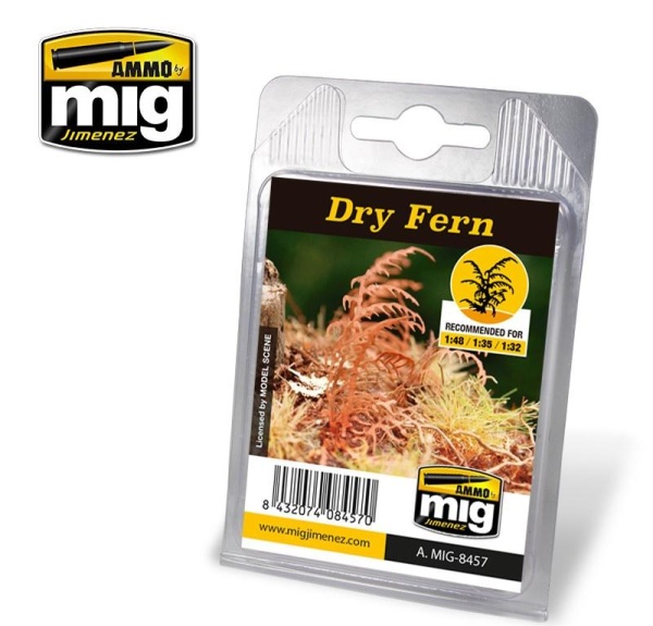 AMIG8457 DRY FERN AMIG8457 DRY FERN